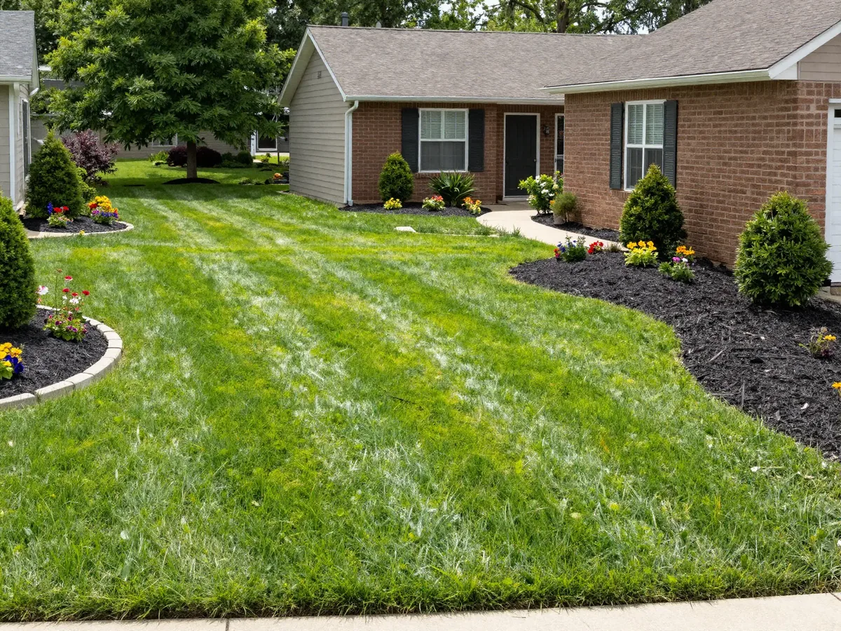 Sample landscaping before and after website design